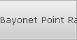 Bayonet Point Raid Data Recovery Services